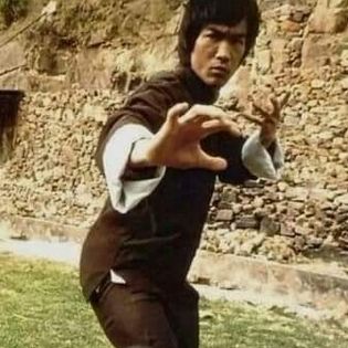 Bruce lee artiste martial